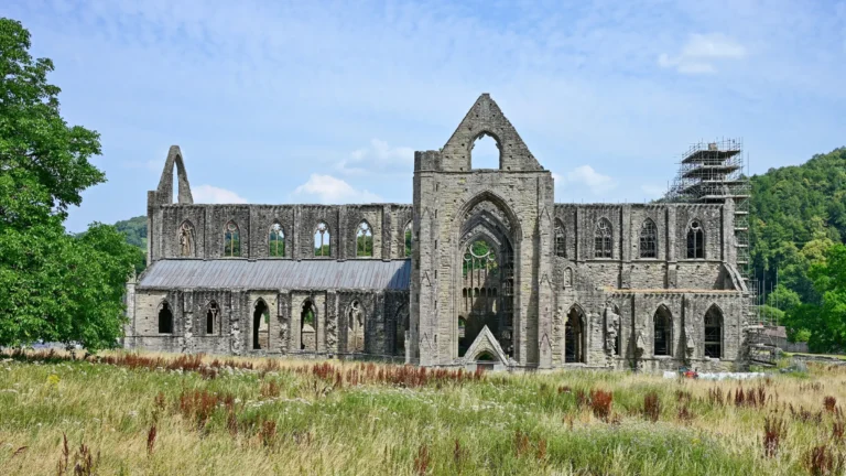 Tintern Abbey 0018